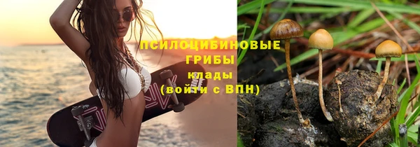 скорость Арсеньев