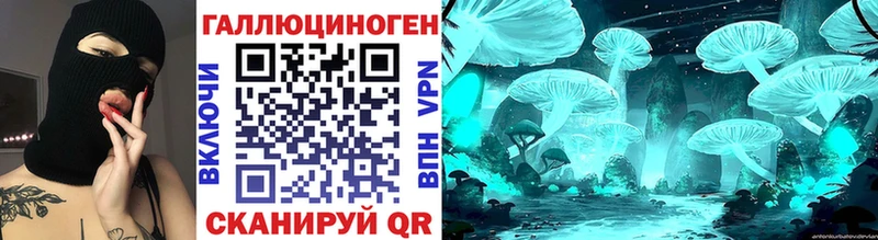 наркошоп  Южно-Сухокумск  Псилоцибиновые грибы Cubensis 